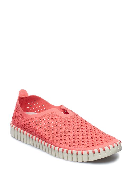 Ilse Jacobsen | Flats | 40