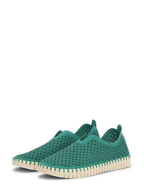 Ilse Jacobsen | Flats | 37