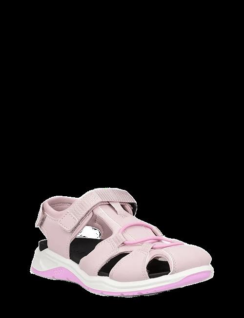 ECCO | X-Trinsic K | 24