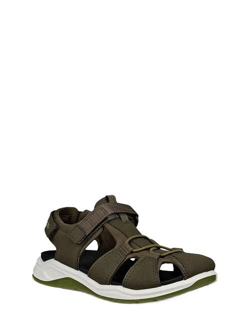 ECCO | X-Trinsic K | 31