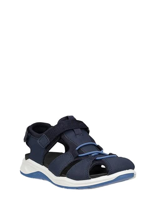 ECCO | X-Trinsic K | 35