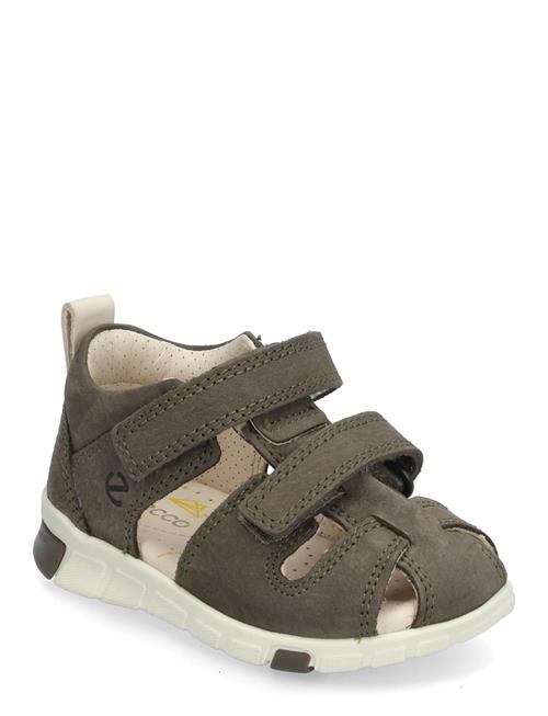 ECCO | Mini Stride Sandal | 24