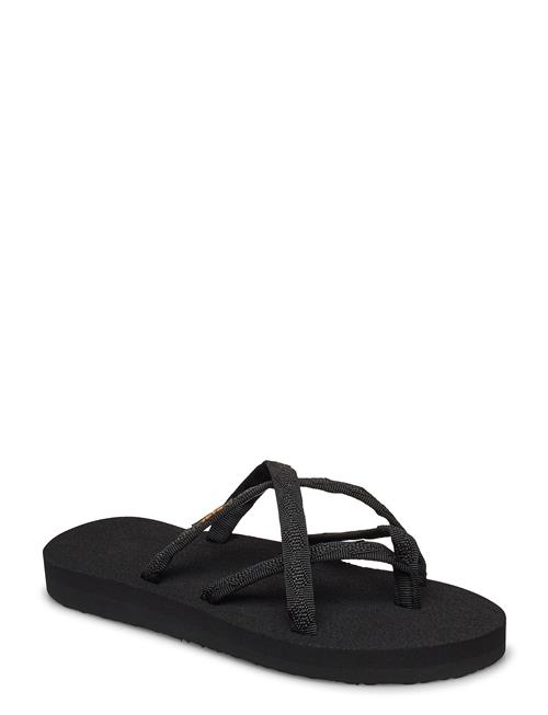 Teva | Olowahu | 38
