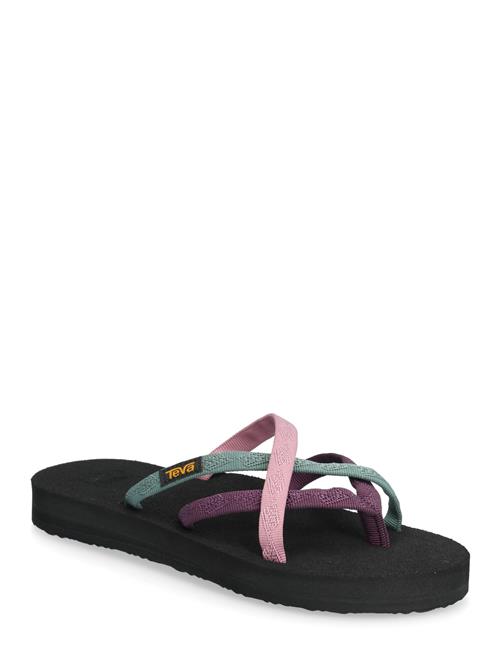 Teva | Olowahu | 38