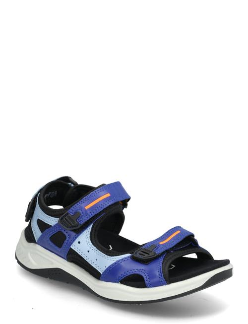 ECCO | X-Trinsic K | 39