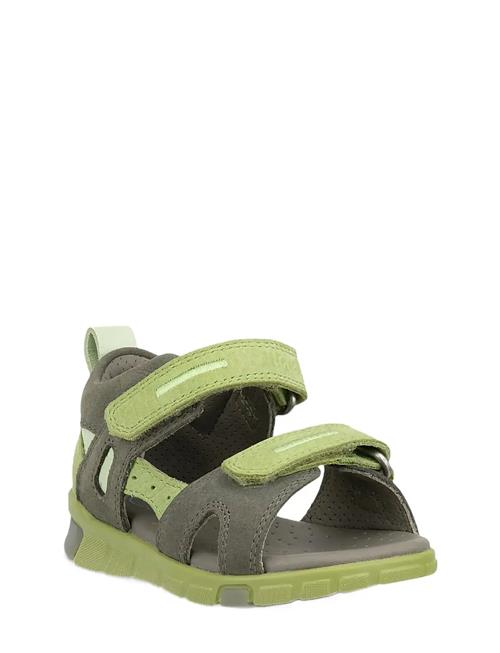 ECCO | Mini Stride Sandal | 19