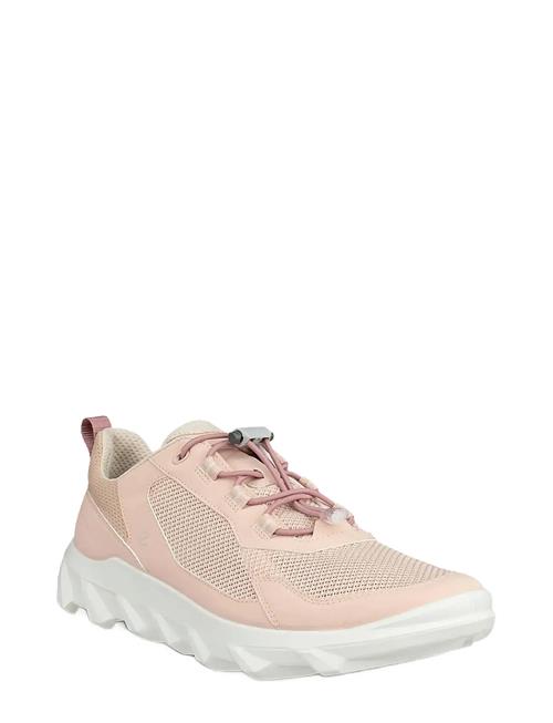 ECCO | Mx W | 37