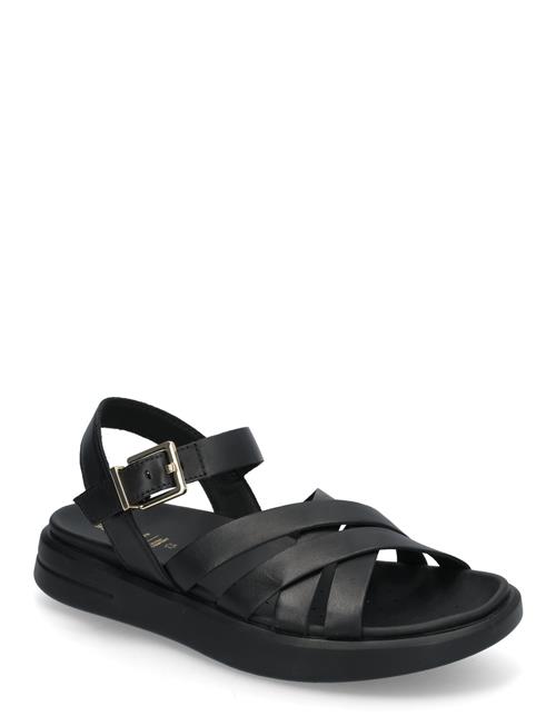 GEOX | D Xand 2S B | 37