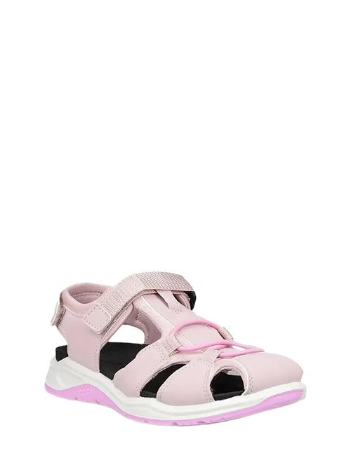 ECCO | X-Trinsic K | 31