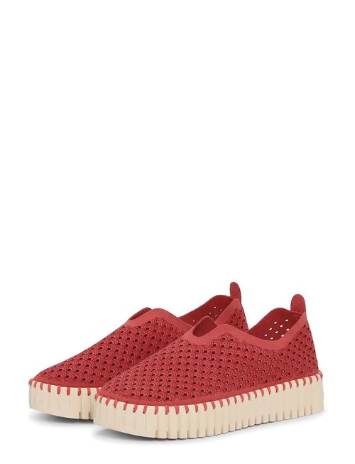 Ilse Jacobsen | Tulip Slip-In On Plateau Sole | 37