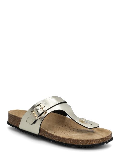 GEOX | D Brionia K | 41