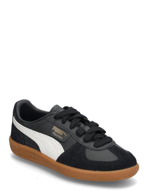 PUMA | Palermo Lth Jr | 38