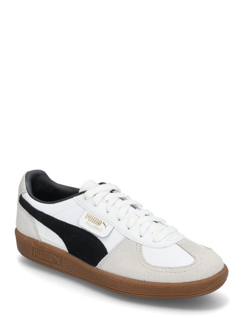 PUMA | Palermo Lth Jr | 37