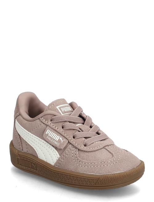 PUMA | Palermo Ac Inf | 19