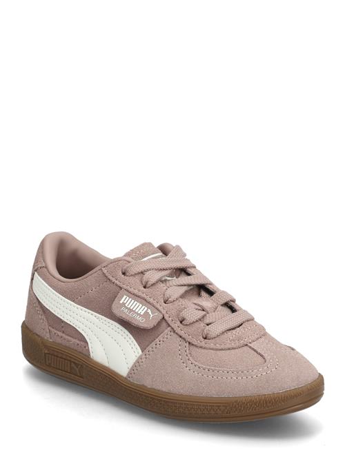 PUMA | Palermo Ps | 34