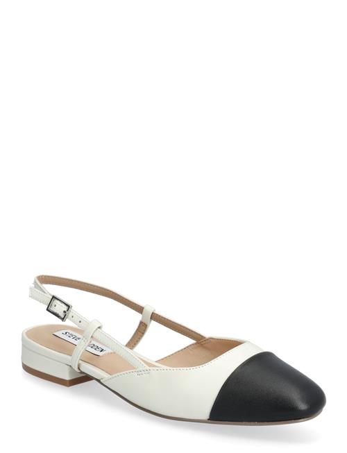 Steve Madden | Belinda Ballerina | 39