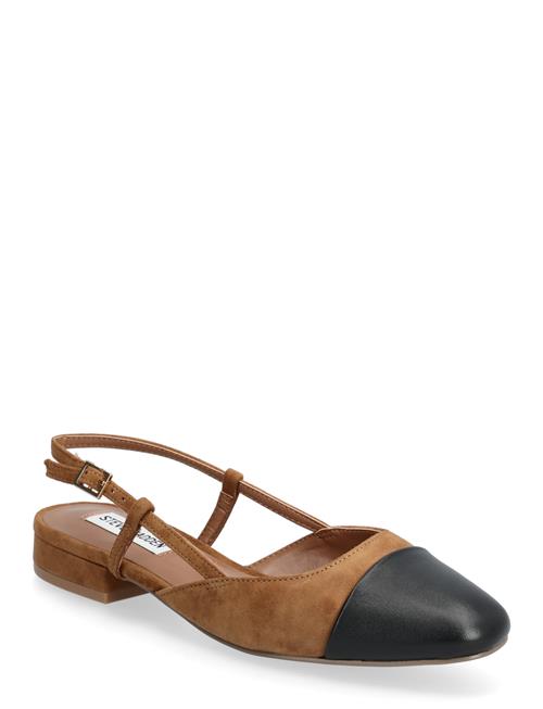 Steve Madden | Belinda | 41