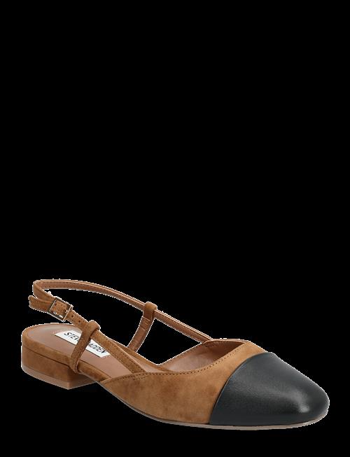 Steve Madden | Belinda Ballerina | 41
