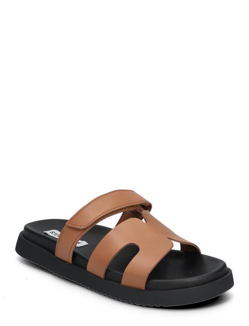 Steve Madden | Missile Sandal | 42