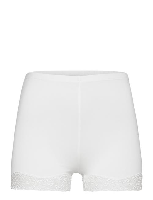 Damella of Sweden | Biker Briefs | XXL