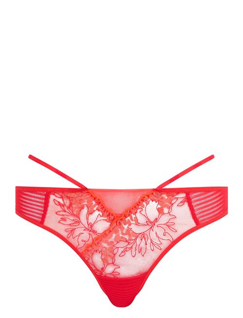 CHANTELLE | Pulp Spice Tanga | 38