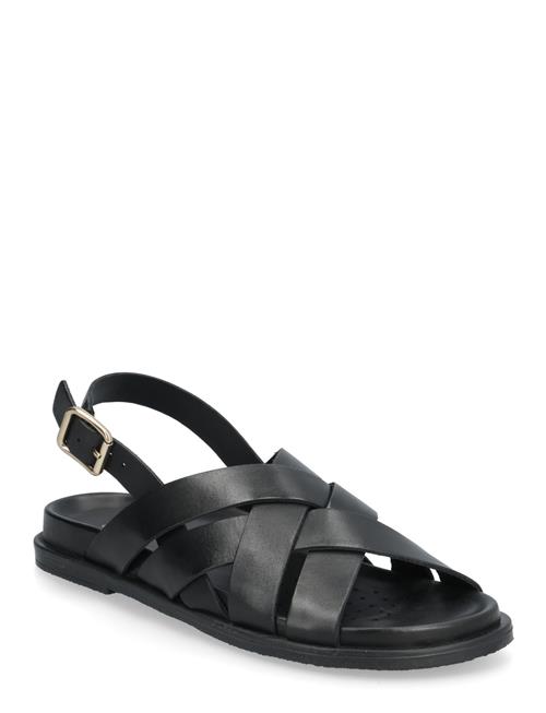 GEOX | D Adelash A | 40