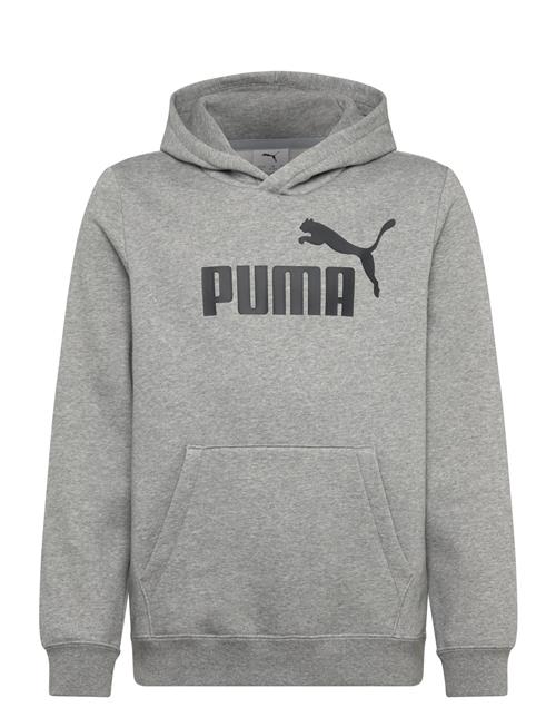 PUMA | Ess No. 1 Logo Hoodie Fl B | 164