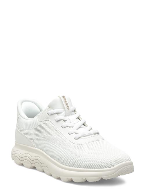 GEOX | D Spherica Plus A | 37