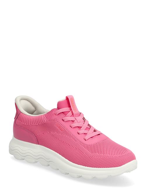 GEOX | D Spherica Plus A | 38
