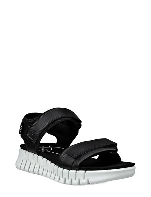 ECCO | Gruuv Sol W | 43