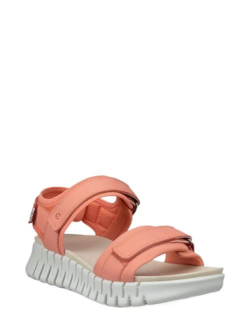 ECCO | Gruuv Sol W | 43