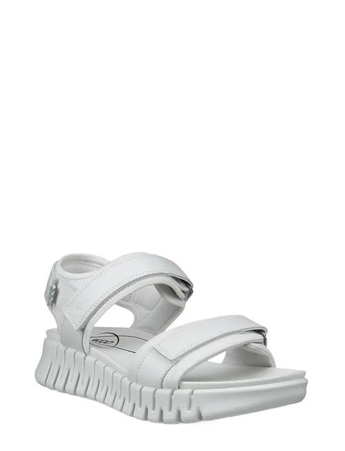 ECCO | Gruuv Sol W | 37