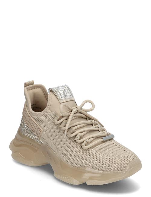 Steve Madden | Maxilla-R-E | 36