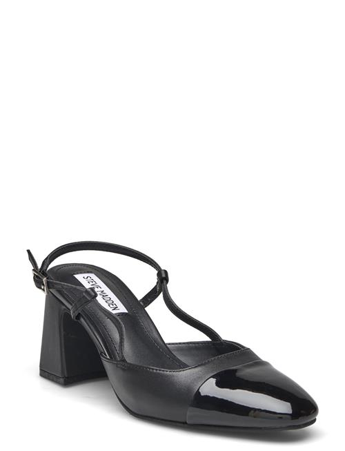 Steve Madden | Zeina | 39