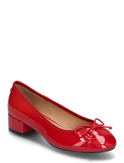 Steve Madden | Cherish | 40