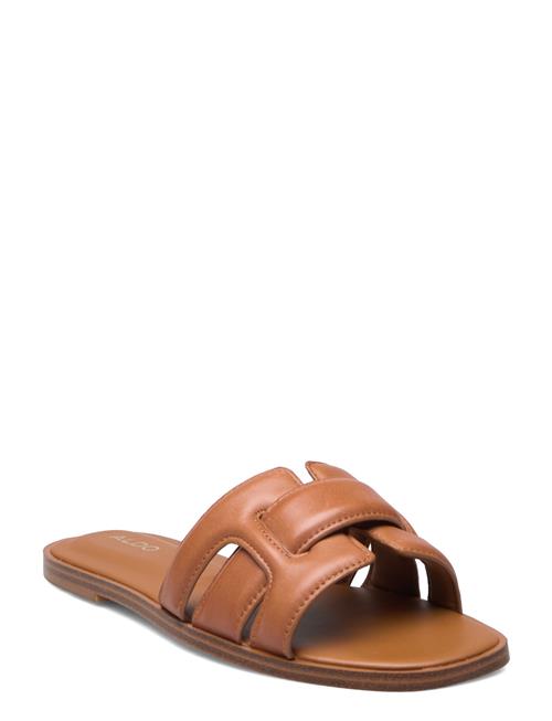 ALDO | Elenaa | 37