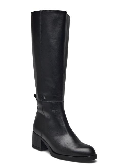 Wonders | Topo | 38