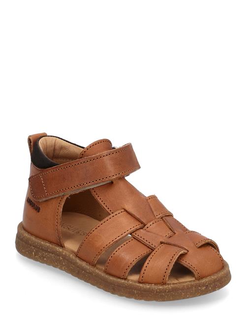 ANGULUS | Sandals - Flat  - Closed Toe | 24
