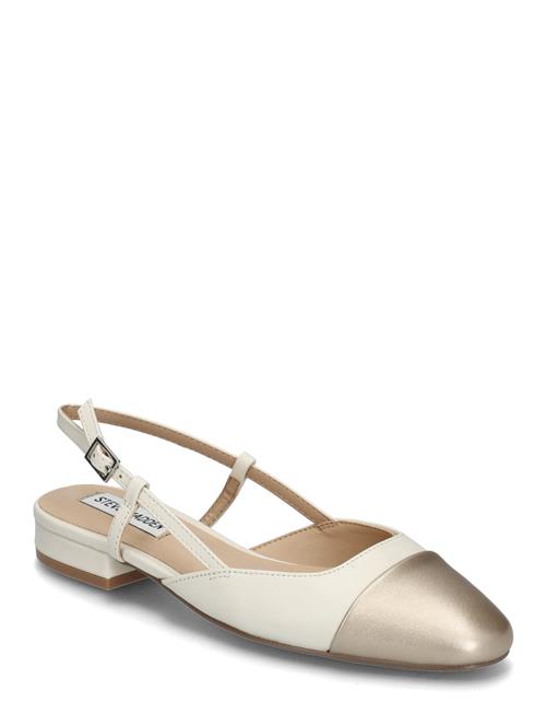 Steve Madden | Belinda | 41