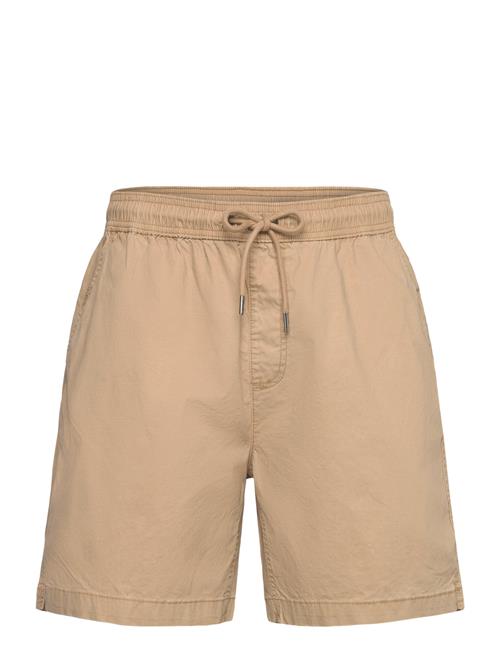 Quiksilver | Taxer Ws | XL