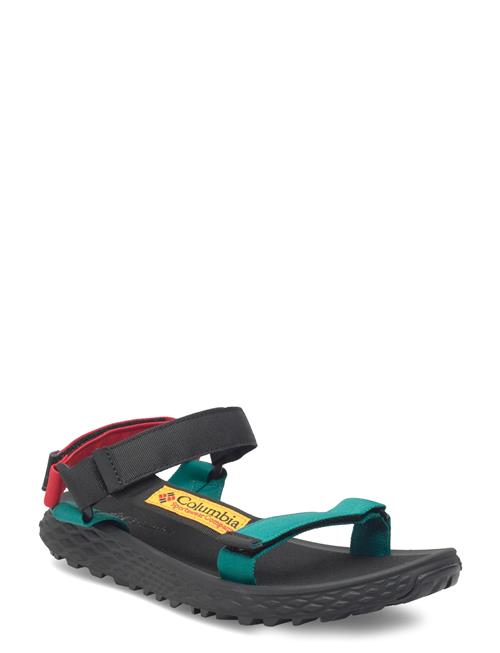 Columbia Sportswear | Konos Globetrot | 44