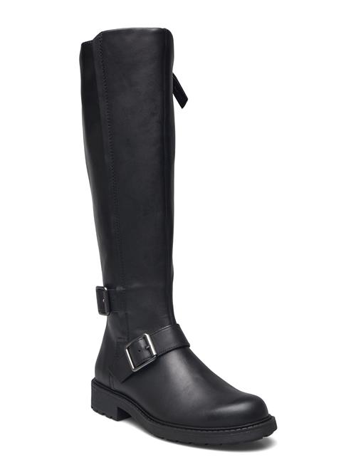 Clarks | Orinoco2 Tall D | 38