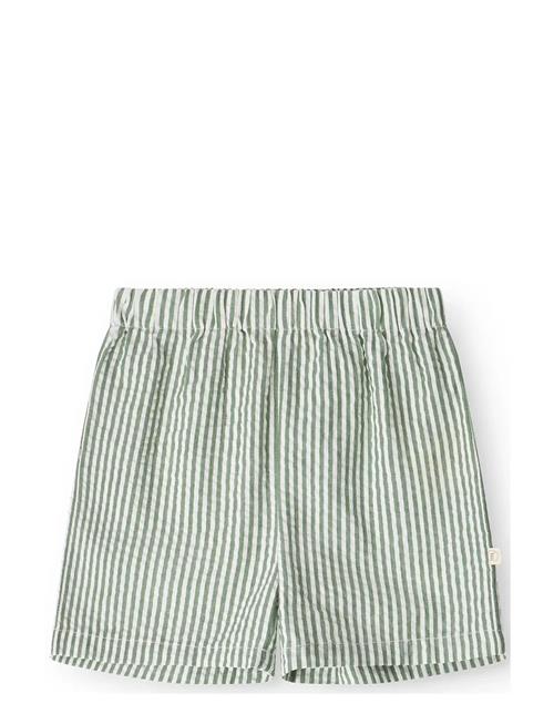 That's Mine | Isa Shorts | 86CM/18M