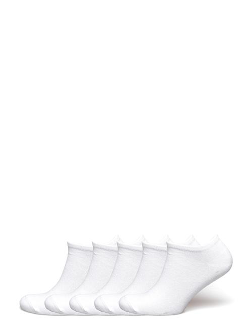 ZEBDIA | 5-Pk Tennis Footies | 39-42