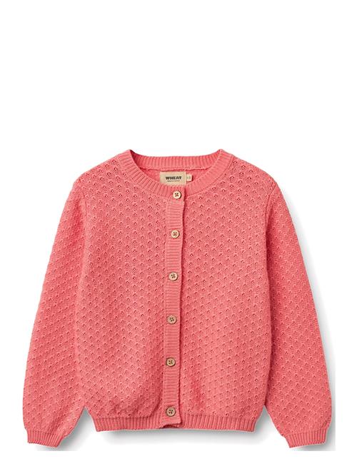 Wheat | Knit Cardigan Magnella | 140