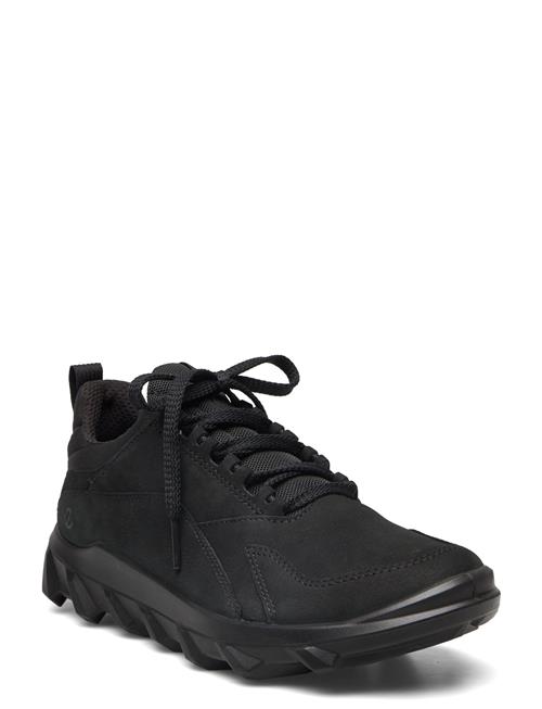 ECCO | Mx W | 36