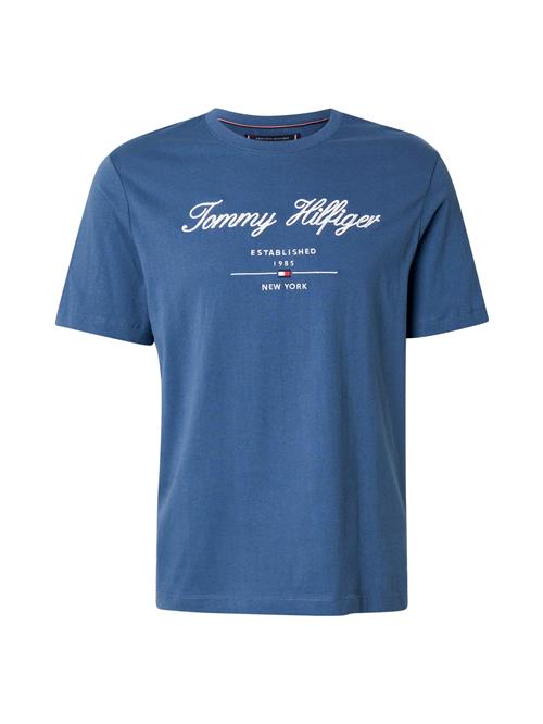 TOMMY HILFIGER Bluser & t-shirts 'Textured Logo'  blå / navy / rød / hvid