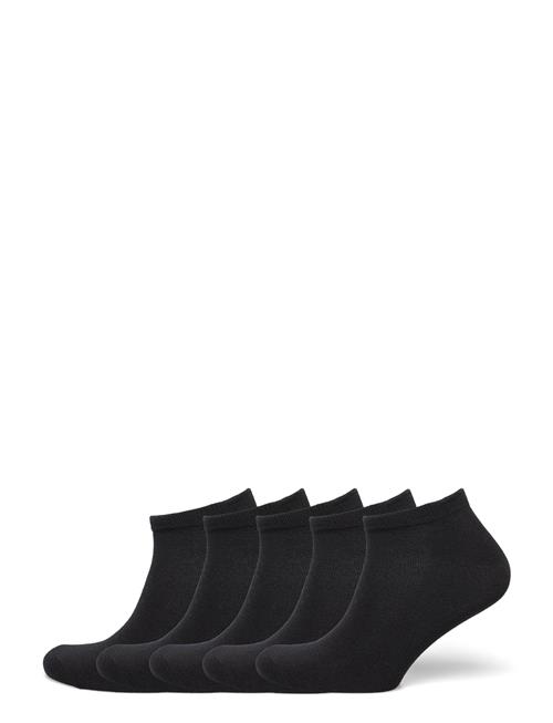 NORVIG | 5-Pack Ladies Footie | 36/40