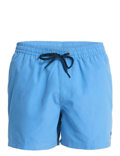 Quiksilver | Everyday Volley 15 | XXL