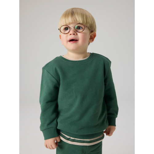 NAME IT Sweatshirt Franco Garden Topiary